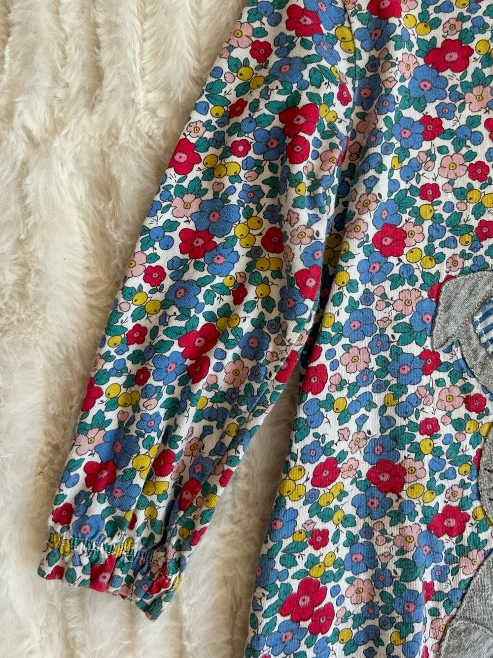 Baby Boden Floral Long Sleeve Dress